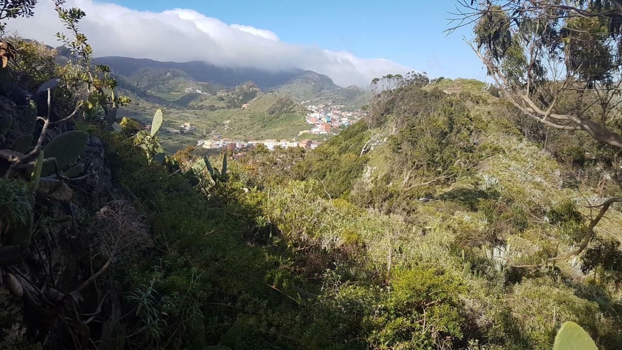 La Casita De Omar En El Corazon De Anaga Y La Laguna Лас-Мерседес Экстерьер фото