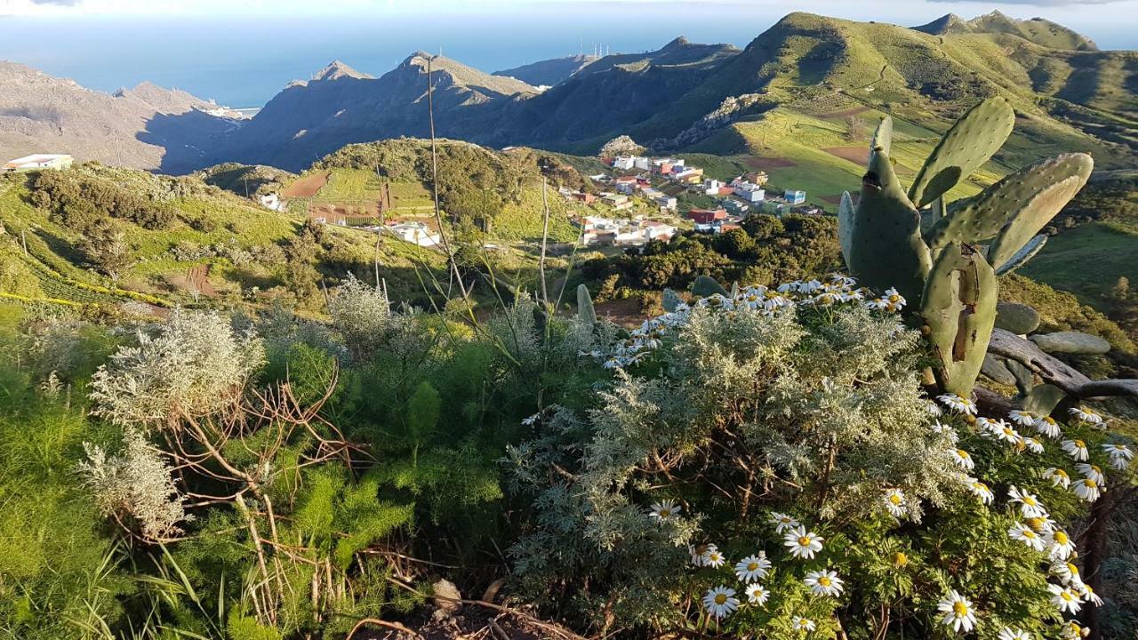 La Casita De Omar En El Corazon De Anaga Y La Laguna Лас-Мерседес Экстерьер фото