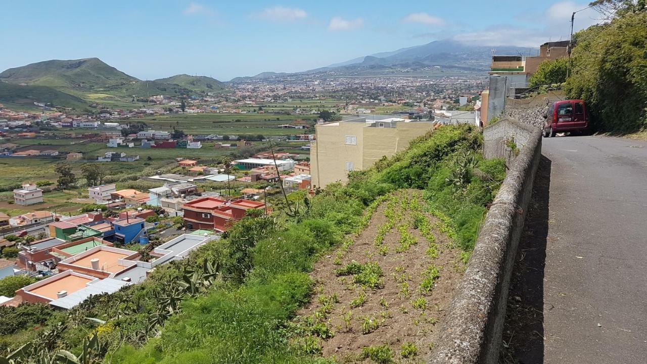 La Casita De Omar En El Corazon De Anaga Y La Laguna Лас-Мерседес Экстерьер фото