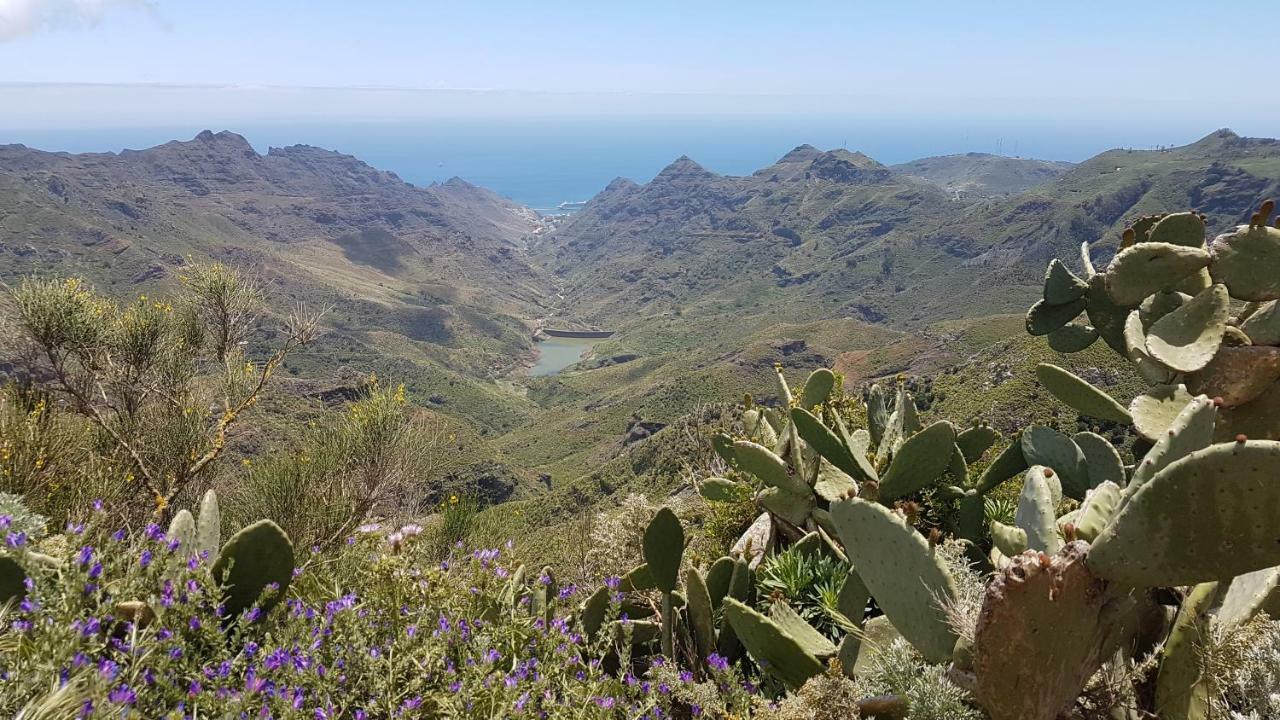 La Casita De Omar En El Corazon De Anaga Y La Laguna Лас-Мерседес Экстерьер фото