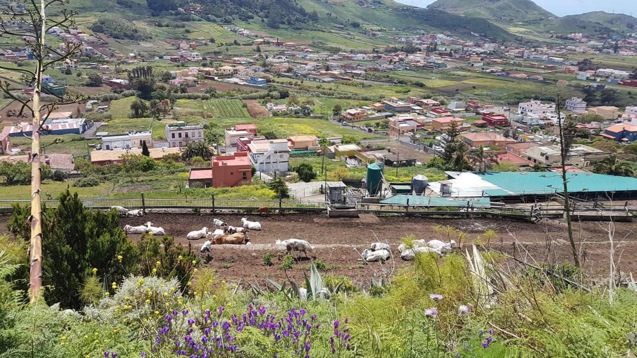 La Casita De Omar En El Corazon De Anaga Y La Laguna Лас-Мерседес Экстерьер фото